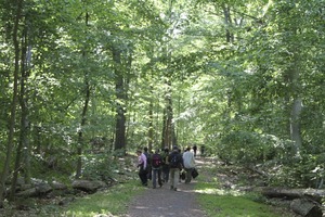 IMG_6706 IMG_6706